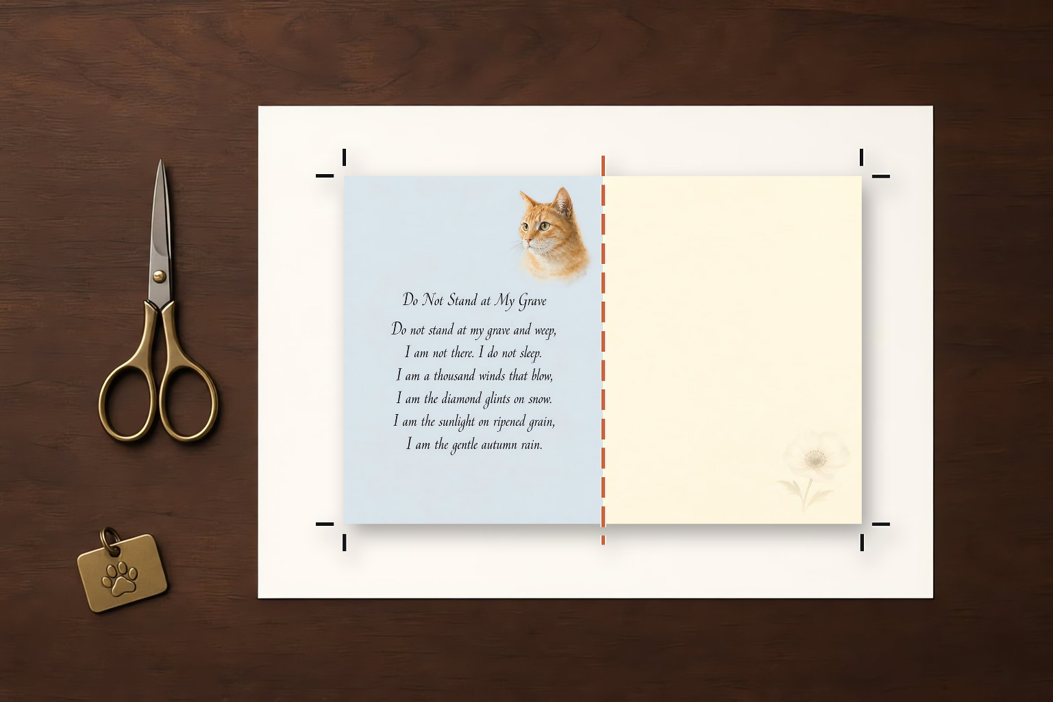 Inside spread