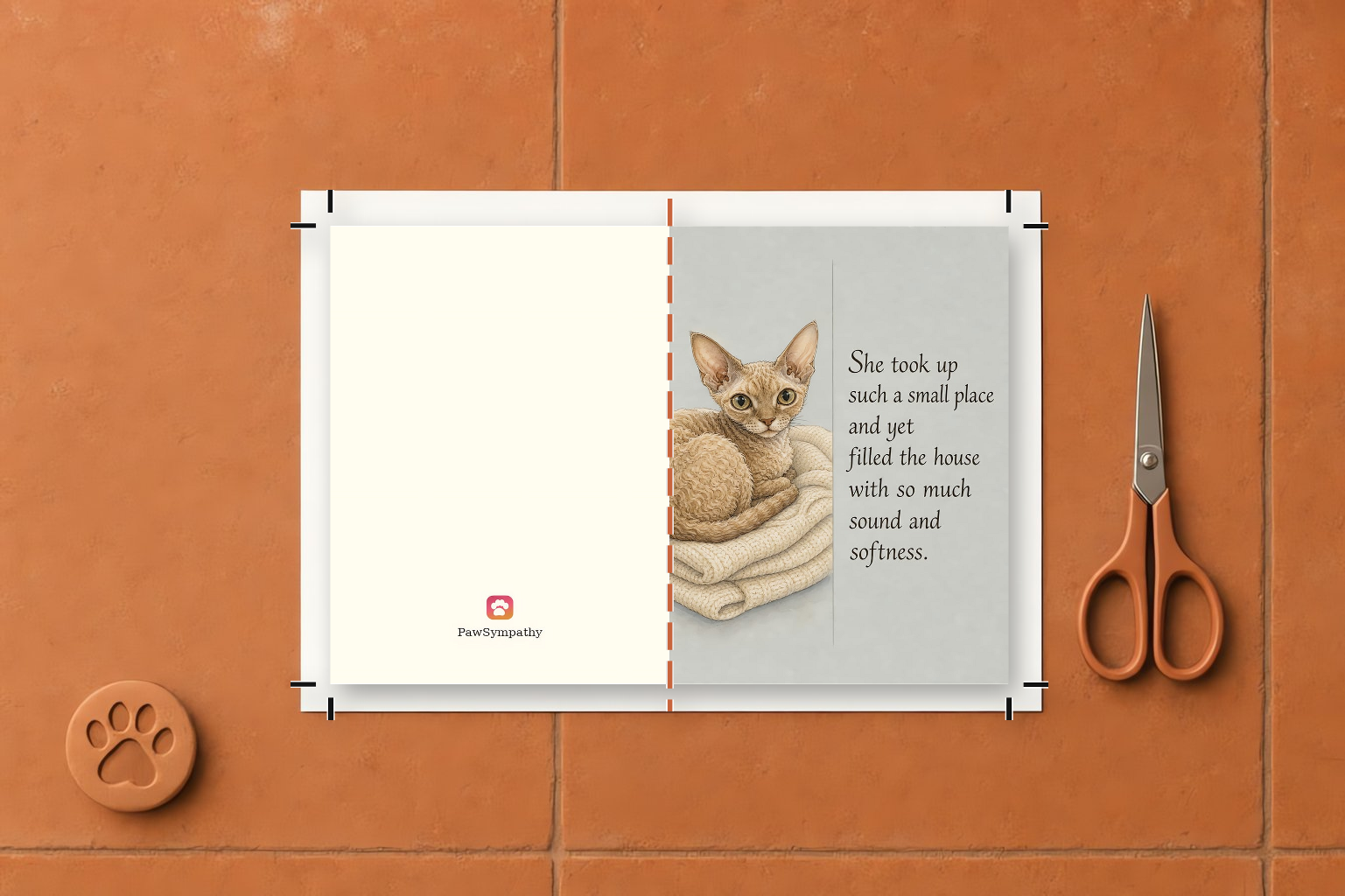 Outside spread (back · front)